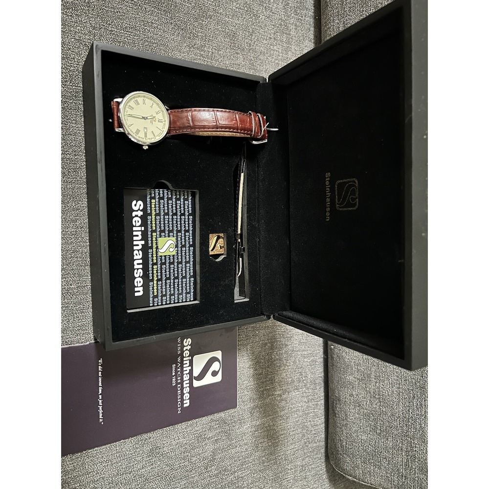 Steinhausen Swiss Movt Men's Date Dial 5 Jewels Leather Band Slim Watch Case